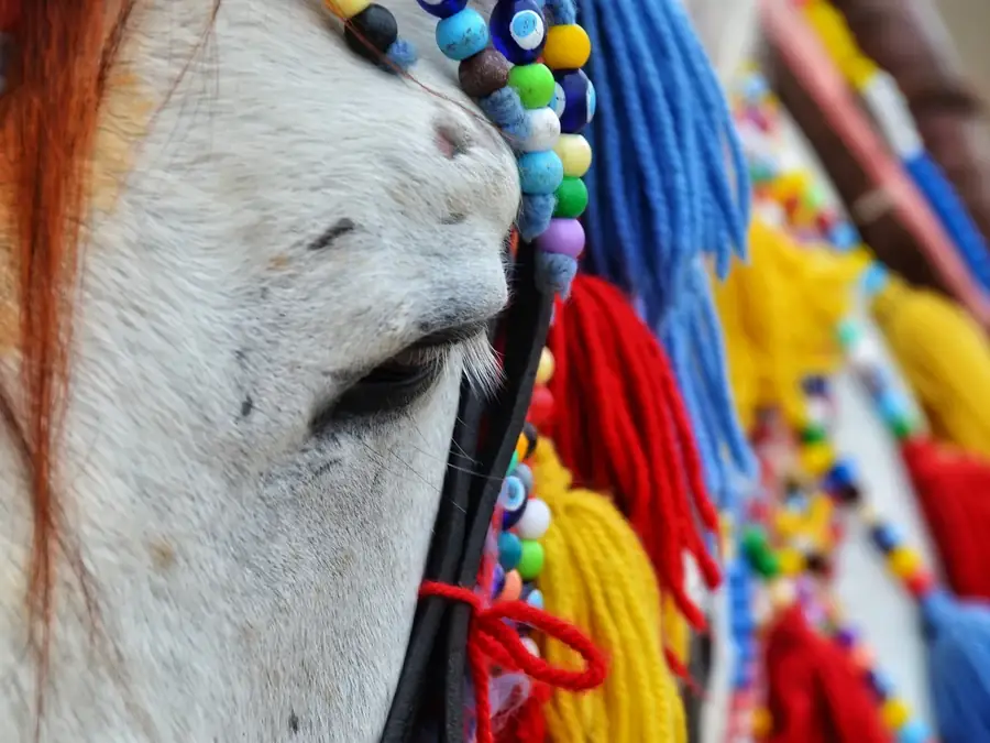 Animation cheval licorne pour événement
