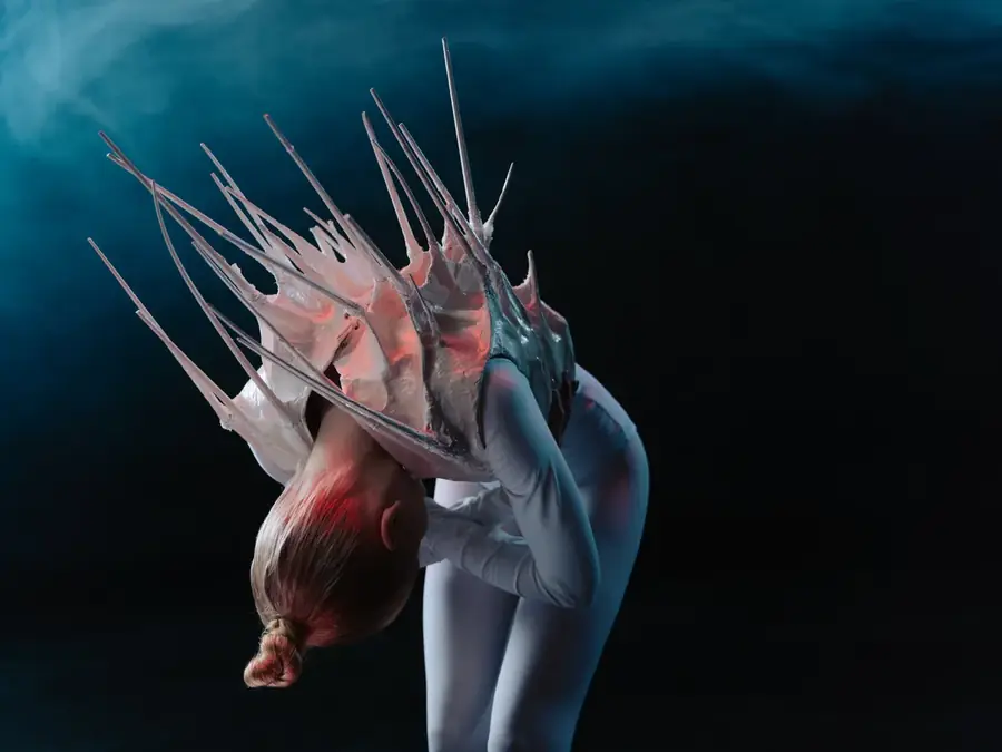 Animation contorsionniste