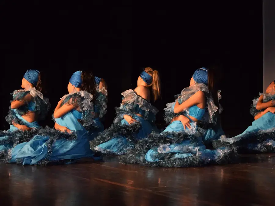 Animation spectacle de danse à thème