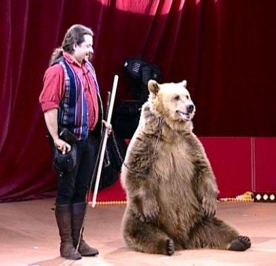 Dresseur d'ours