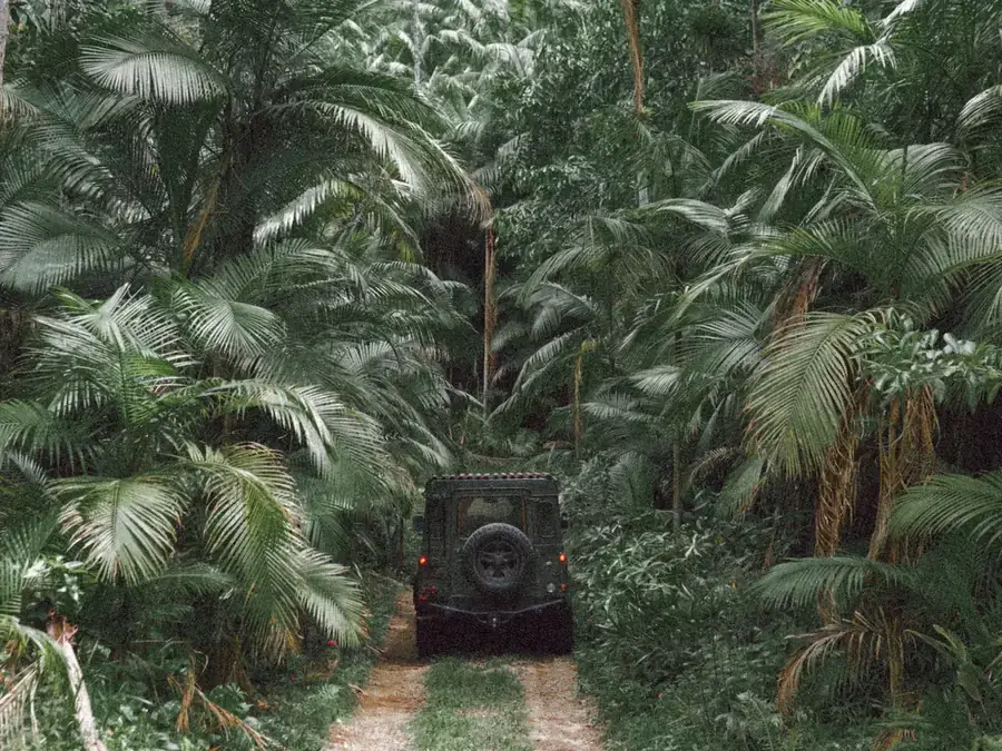 Location voiture de cinéma jurassic park