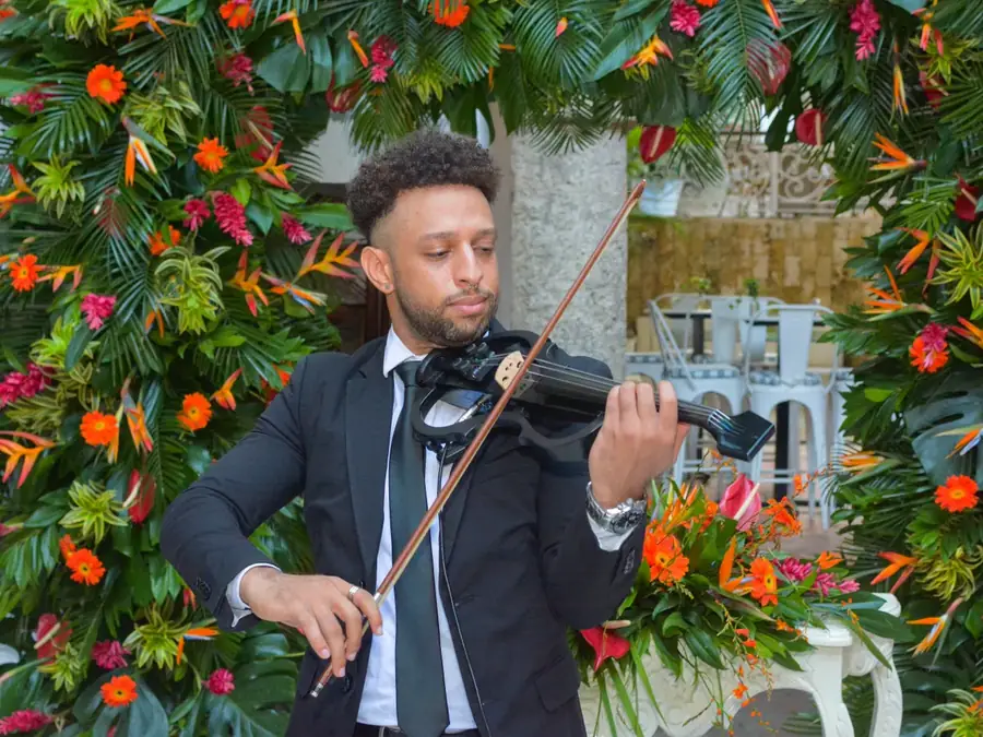 Violoniste pour cérémonie, cocktail et soirée